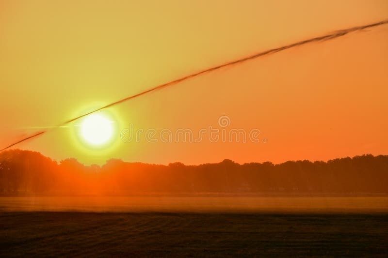 Tief stehende Sonne über einer silhouettierten Baumreihe und nebliger Wiese